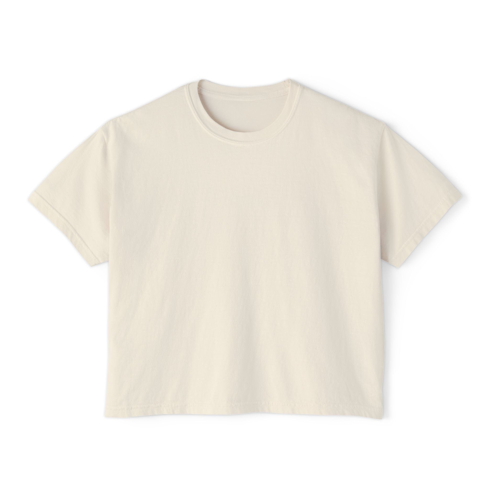 Professional Password Resetter Women's Boxy T-Shirt