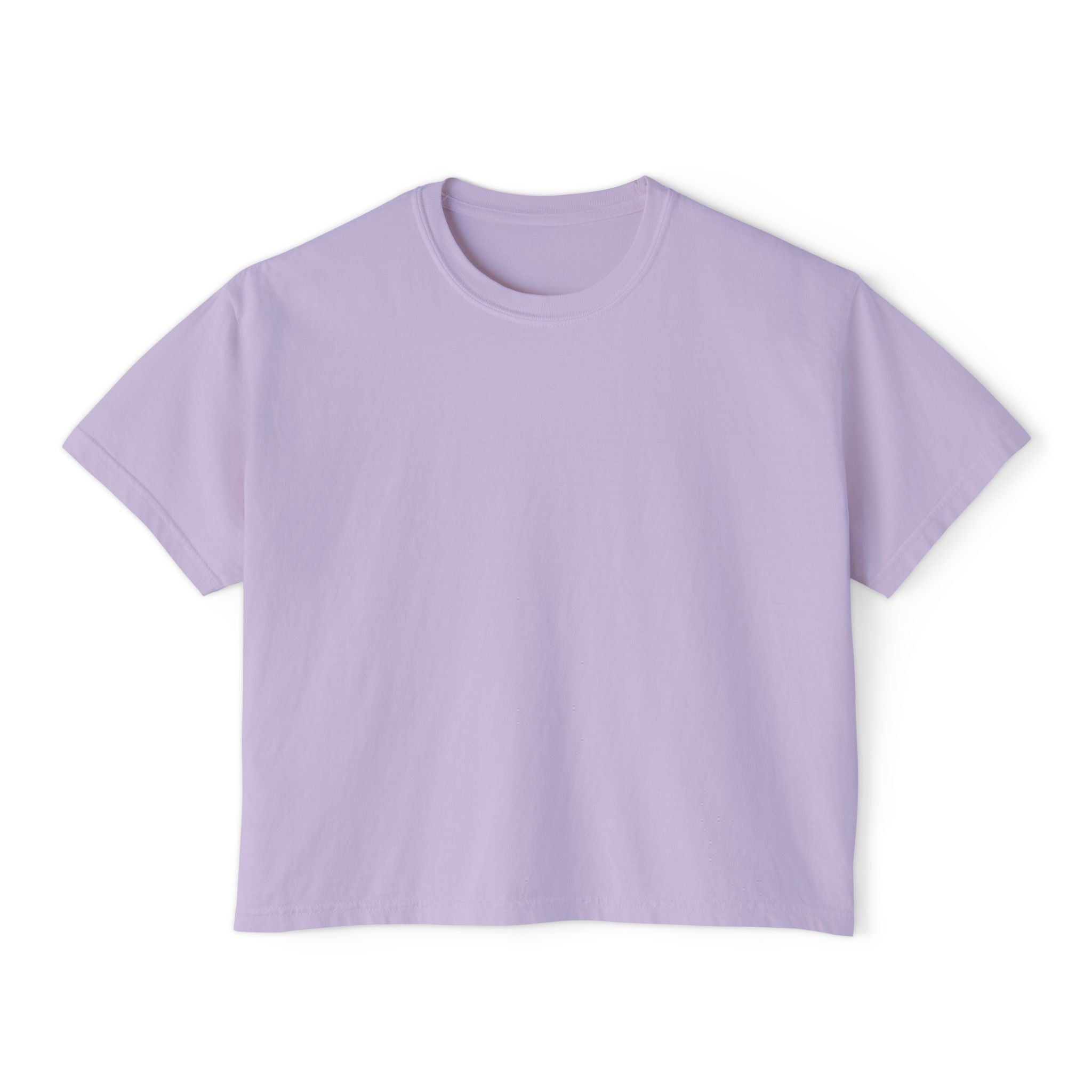 Professional Password Resetter Women's Boxy T-Shirt