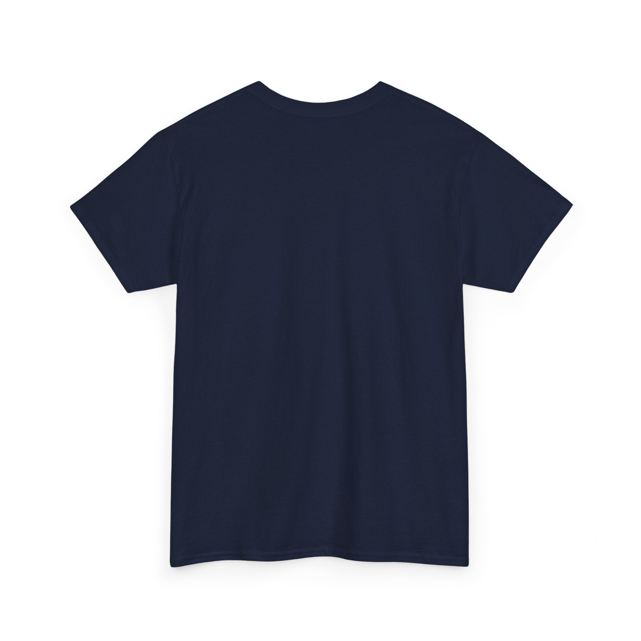 Things I Do in My Spare Time (Code) Unisex Heavy Cotton T-Shirt