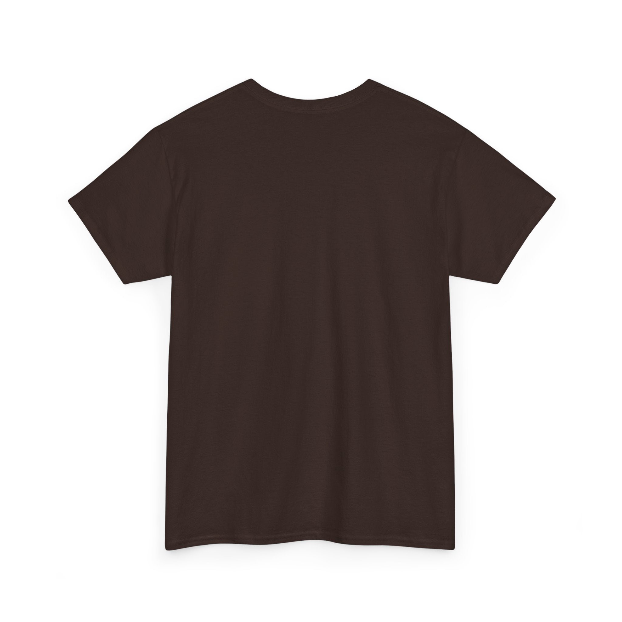 Things I Do in My Spare Time (Code) Unisex Heavy Cotton T-Shirt