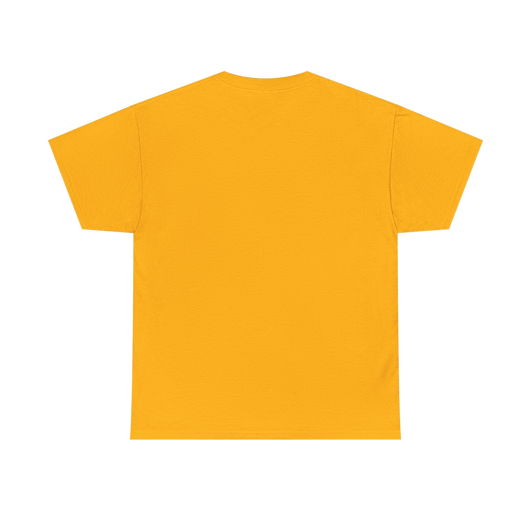 Front End Pretty, Back End Powerful Heavy Cotton T-Shirt - Coder Tee