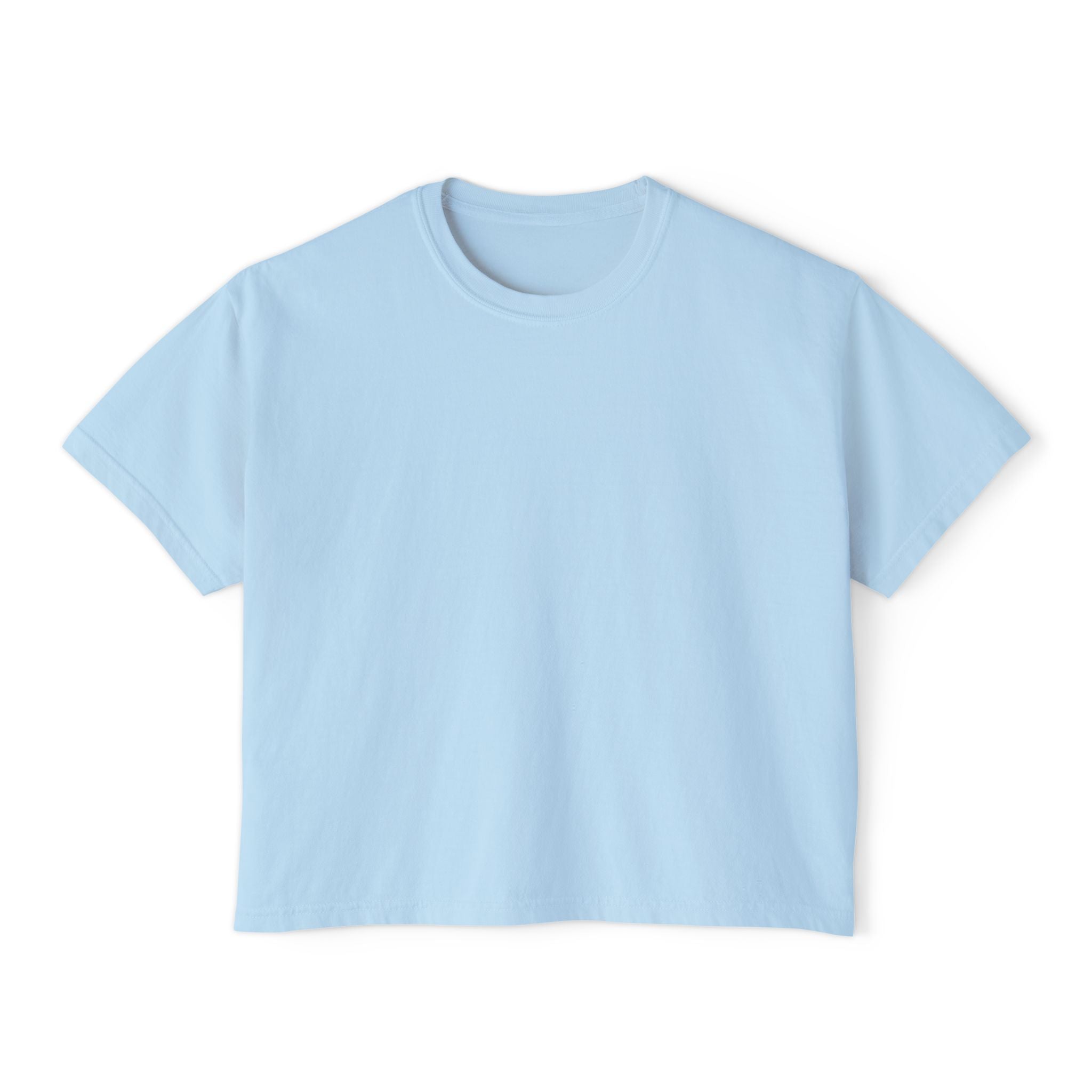 Professional Password Resetter Women's Boxy T-Shirt