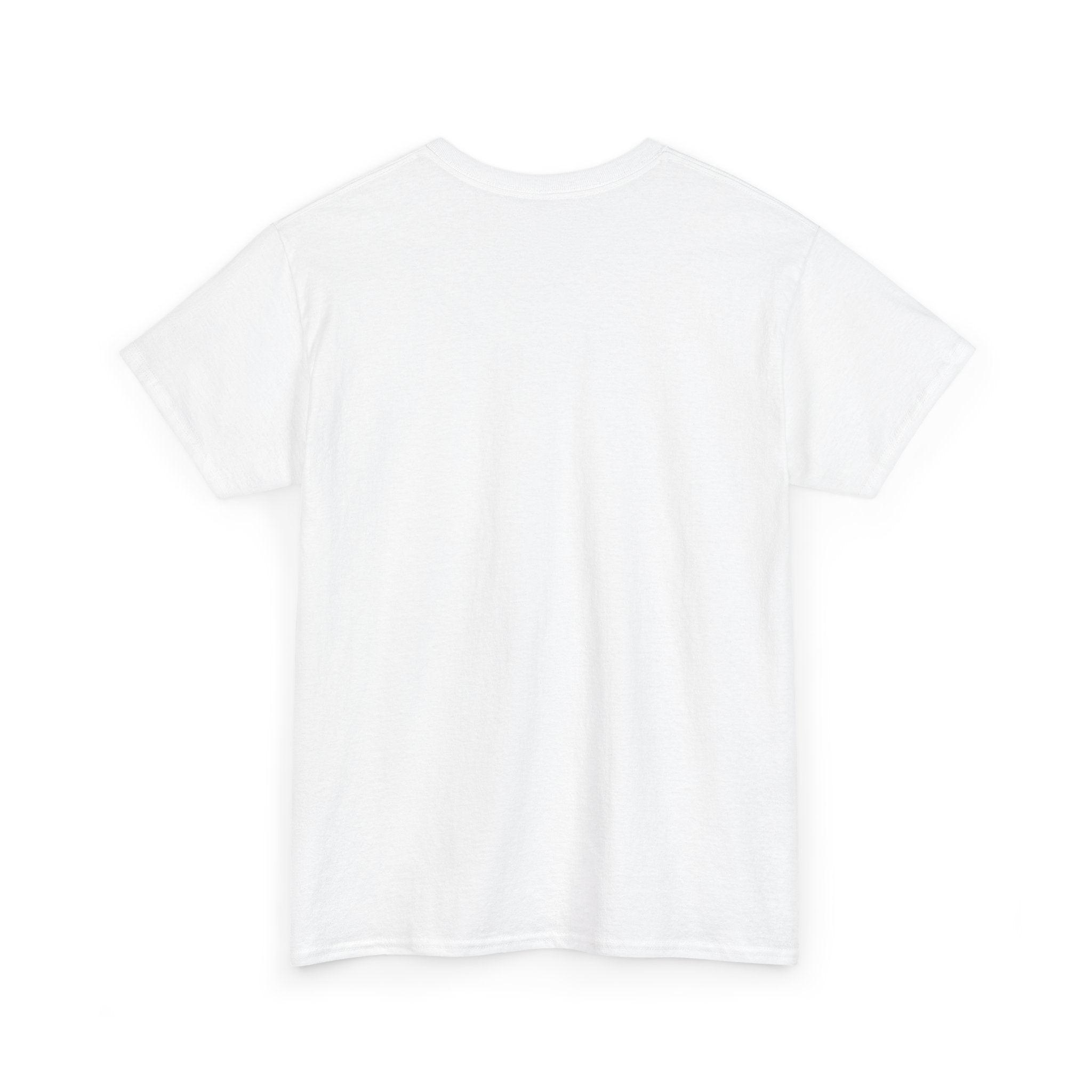 IT Lady at Work / Cat Lady at Home Softstyle T-Shirt
