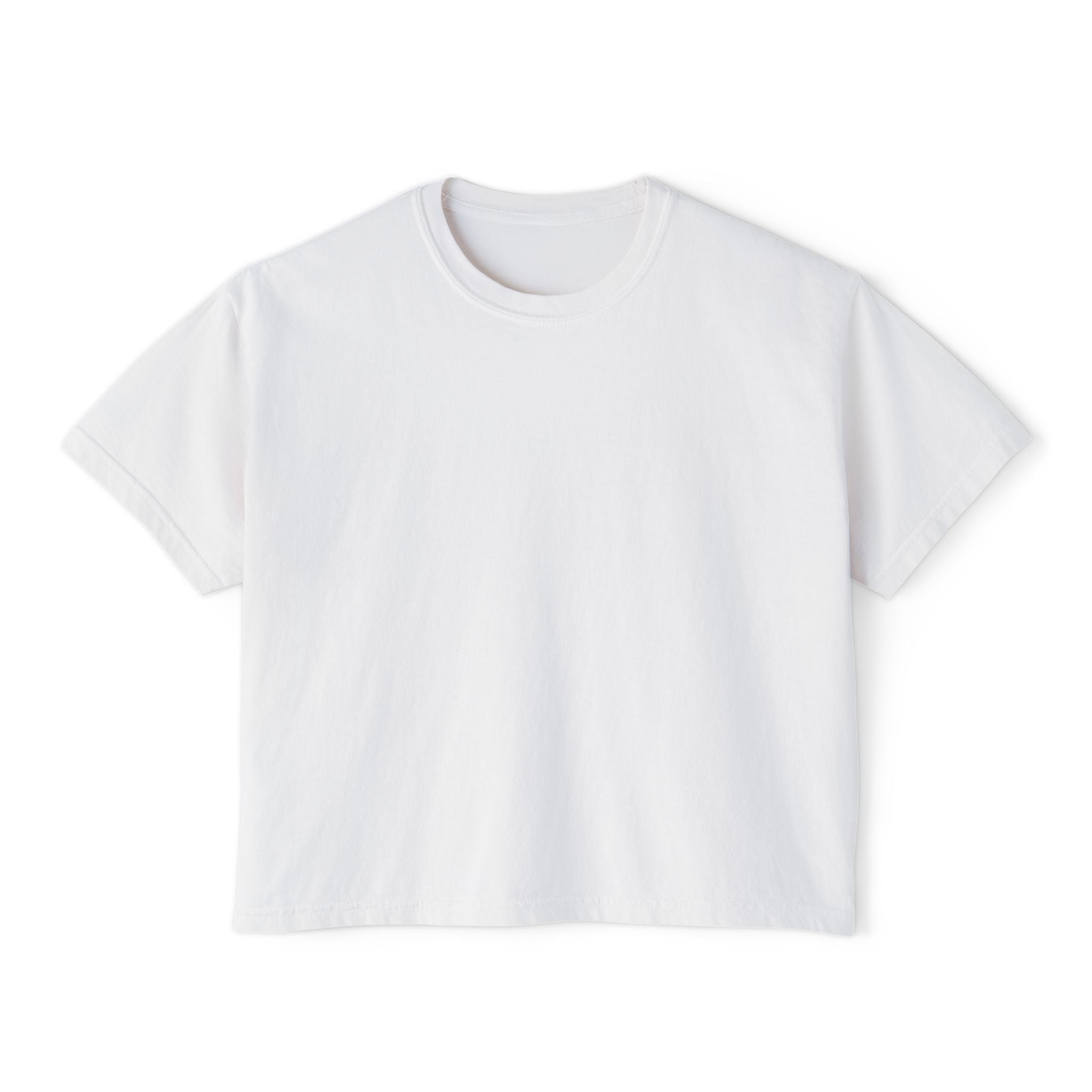 Professional Password Resetter Women's Boxy T-Shirt
