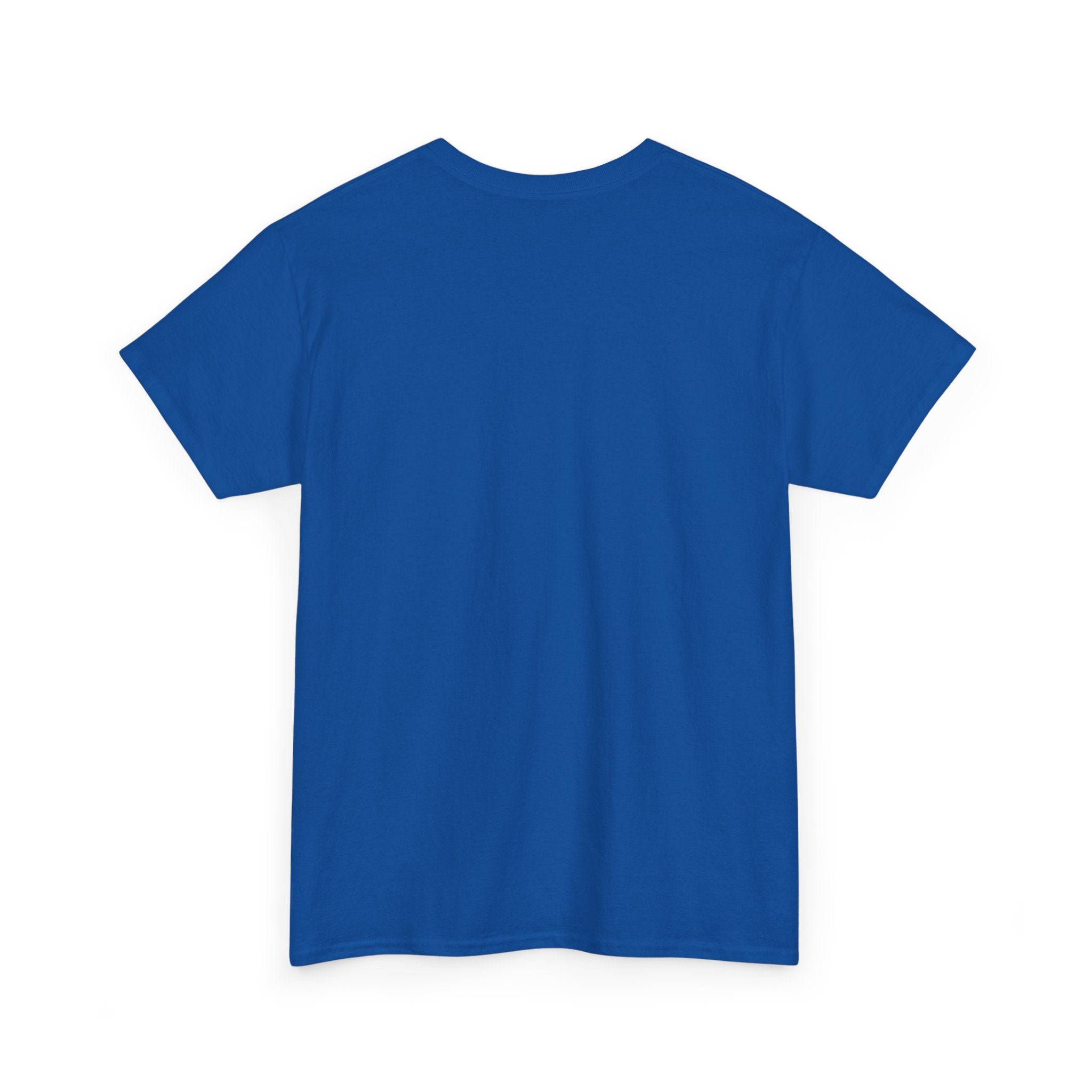 Things I Do In My Spare Time Ticket Obsessed Unisex Heavy Cotton T-Shirt