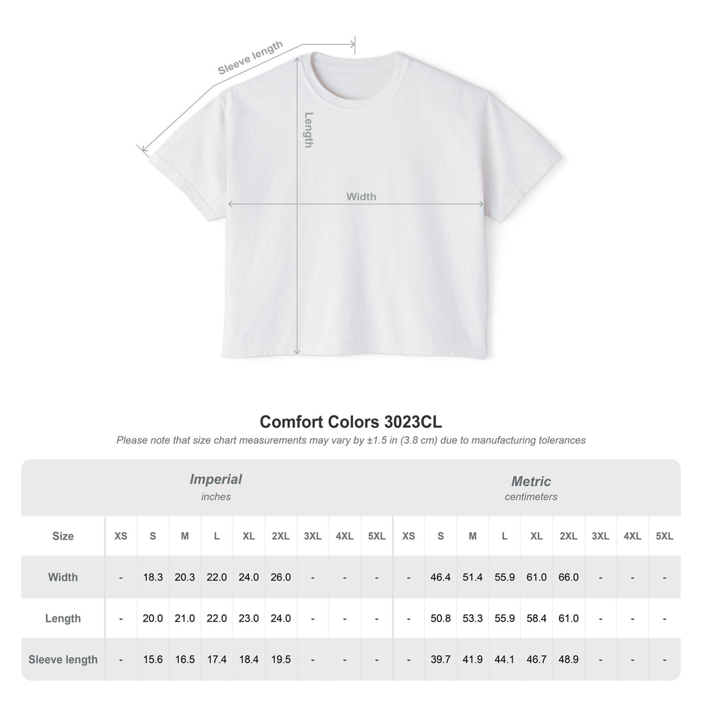 Professional Password Resetter Women's Boxy T-Shirt